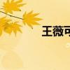 王薇可（關(guān)于王薇可的介紹）