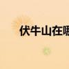 伏牛山在哪（關(guān)于伏牛山在哪的介紹）