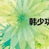 韓少功（關(guān)于韓少功的介紹）