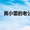 黃小蕾的老公（關(guān)于黃小蕾的老公的介紹）