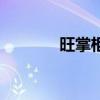 旺掌柜(關(guān)于旺掌柜的介紹) 旺掌柜(關(guān)于旺掌柜的介紹)