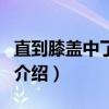 直到膝蓋中了一箭（關(guān)于直到膝蓋中了一箭的介紹）