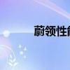 蔚領(lǐng)性能測(cè)評(píng)以及蔚領(lǐng)試駕體驗(yàn)