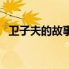 衛(wèi)子夫的故事（關(guān)于衛(wèi)子夫的故事的介紹）