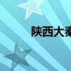 陜西大秦（關(guān)于陜西大秦的介紹）