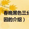 春晚黑色三分鐘原因（關于春晚黑色三分鐘原因的介紹）
