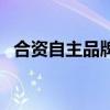 合資自主品牌（關(guān)于合資自主品牌的介紹）