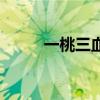一桃三血（關(guān)于一桃三血的介紹）