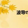 波導(dǎo)t9（關(guān)于波導(dǎo)t9的介紹）