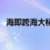 海即跨海大橋（關(guān)于海即跨海大橋的介紹）