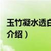 玉竹凝水透白乳液（關(guān)于玉竹凝水透白乳液的介紹）