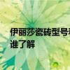伊麗莎瓷磚型號(hào)和價(jià)格 伊妹兒瓷磚主要以什么瓷磚為主呢 誰(shuí)了解 
