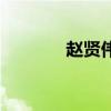 趙賢偉（關(guān)于趙賢偉的介紹）