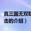真三國無雙聯(lián)合突擊（關(guān)于真三國無雙聯(lián)合突擊的介紹）