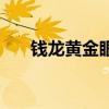 錢龍黃金眼（關(guān)于錢龍黃金眼的介紹）