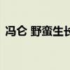 馮侖 野蠻生長（關(guān)于馮侖 野蠻生長的介紹）