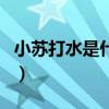小蘇打水是什么（關(guān)于小蘇打水是什么的介紹）