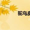 駝鳥皮（關(guān)于駝鳥皮的介紹）