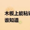 木板上能粘瓷磚嗎 木門(mén)上皮可粘在瓷磚上嗎 誰(shuí)知道 木板上能粘瓷磚嗎 木門(mén)上皮可粘在瓷磚上嗎 誰(shuí)知道