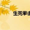 生死拳擊（關(guān)于生死拳擊的介紹）