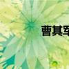 曹其軍（關于曹其軍的介紹）