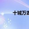 十城萬盞（關(guān)于十城萬盞的介紹）