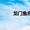 龍門魚府（關(guān)于龍門魚府的介紹）