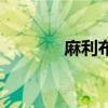 麻利布（關(guān)于麻利布的介紹）