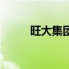 旺大集團(tuán)（關(guān)于旺大集團(tuán)的介紹）