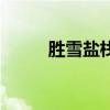 勝雪鹽棧（關(guān)于勝雪鹽棧的介紹）