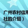 廣州農(nóng)村信用合作社（關(guān)于廣州農(nóng)村信用合作社的介紹）