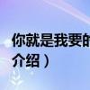 你就是我要的幸福（關(guān)于你就是我要的幸福的介紹）