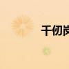 千仞崗（關(guān)于千仞崗的介紹）