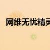 網(wǎng)維無憂精靈（關(guān)于網(wǎng)維無憂精靈的介紹）
