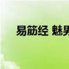 易筋經(jīng) 魅男（關(guān)于易筋經(jīng) 魅男的介紹）