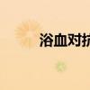 浴血對(duì)抗（關(guān)于浴血對(duì)抗的介紹）