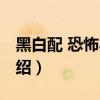 黑白配 恐怖小說（關于黑白配 恐怖小說的介紹）