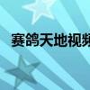 賽鴿天地視頻（關(guān)于賽鴿天地視頻的介紹）