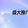 盛大推廣（關于盛大推廣的介紹）