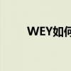 WEY如何成為智能安全成至臻之選
