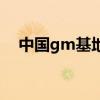 中國(guó)gm基地（關(guān)于中國(guó)gm基地的介紹）