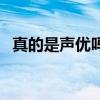 真的是聲優(yōu)嗎（關(guān)于真的是聲優(yōu)嗎的介紹）
