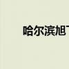 哈爾濱旭飛服務(wù)站：春節(jié)救助暖人心