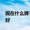 現(xiàn)在什么牌子冰箱質(zhì)量好 現(xiàn)在什么牌子衛(wèi)浴好 