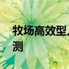牧場高效型人才 東風(fēng)天錦散裝飼料運(yùn)輸車評測 牧場高效型人才 東風(fēng)天錦散裝飼料運(yùn)輸車評測