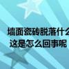 墻面瓷磚脫落什么原因 新房裝修后瓷磚脫落、漆面開始脫落 這是怎么回事呢 