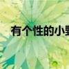 有個性的小野人 進口斯柯達Yeti試駕體驗