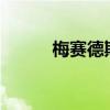 梅賽德斯奔馳EQV經(jīng)過霜凍測試