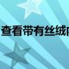 查看帶有絲絨內(nèi)飾的復(fù)古風(fēng)格豐田陸地巡洋艦