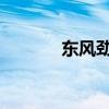 東風(fēng)勁諾攪拌車評測之外觀篇